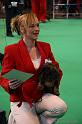 Crufts2011_2 534